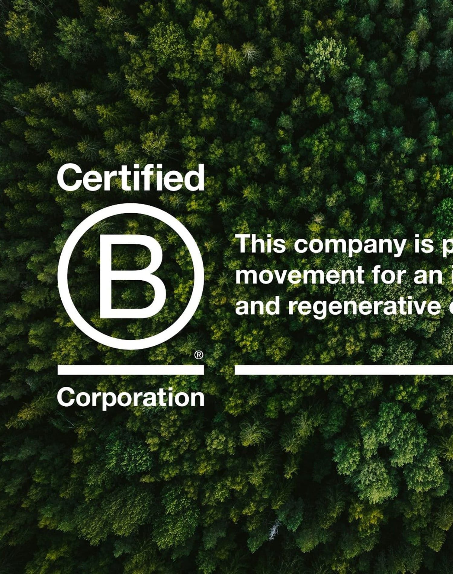Method's Journey with B Corp