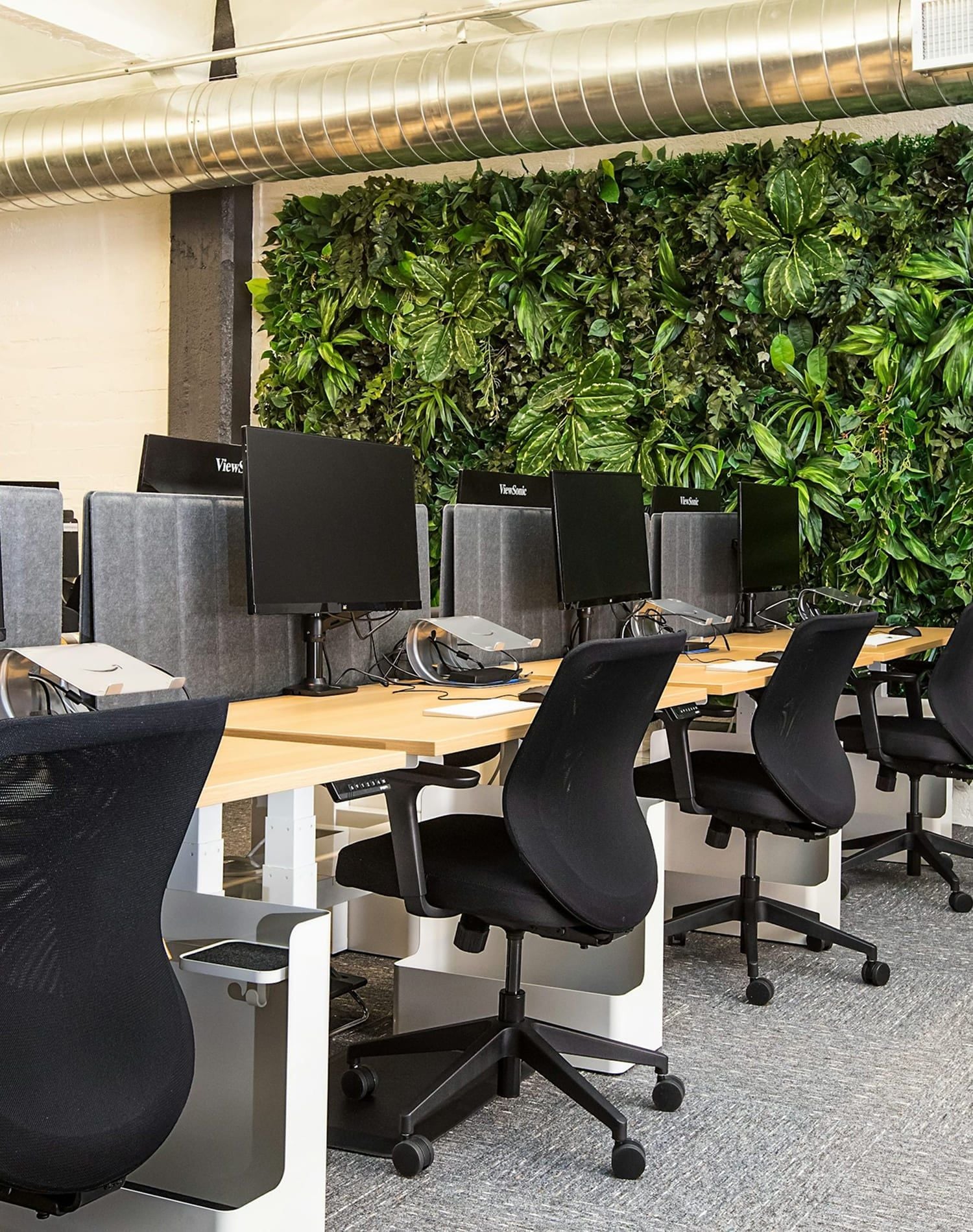 Our Zero Waste Office